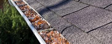 Gutter Cleaning