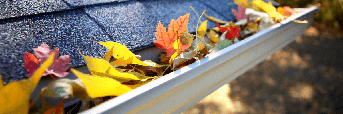 Here Comes the Rain! It's Gutter Cleaning Time