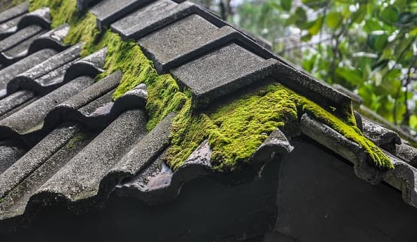 Get Rid of the Carpet – On Your Roof!