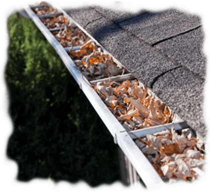 Gutter Cleaning